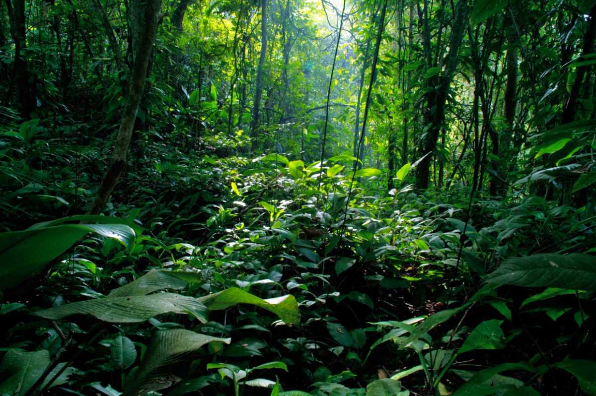 A Key Area for Conservation