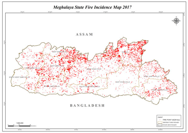 Forest Fire Risk Map