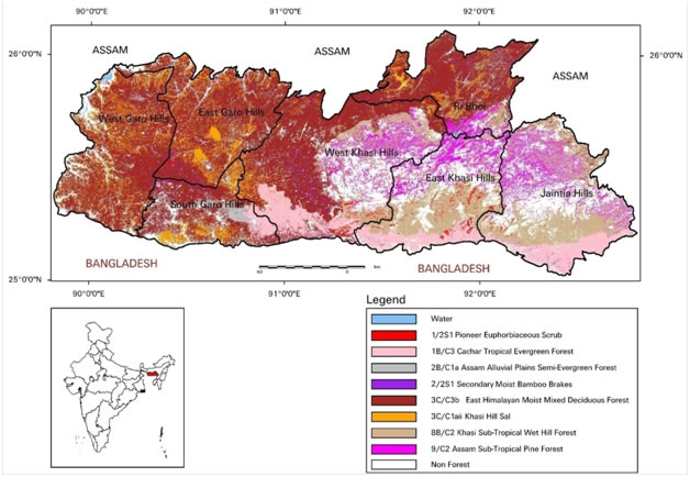 Forest Types Distribution Map