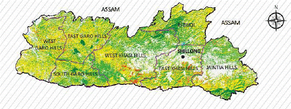 Forest Cover Map of Meghalaya