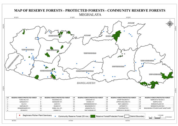 Reserved Forest